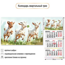 Календарь трио 2027 символ года