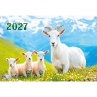 Календарь мини-трио 2027 символ года