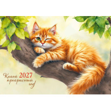 Календарь трио 2027 кот