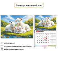 Календарь моно 2027 символ года