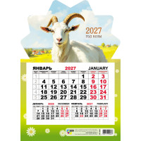 Календарь моно на магните 2027 символ года