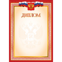 Диплом эконом с госсимволикой