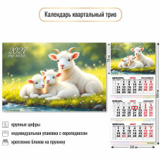 Календарь трио 2027 символ года