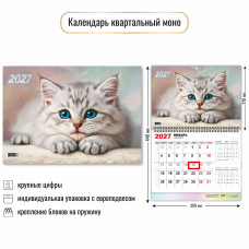 Календарь моно 2027 кот